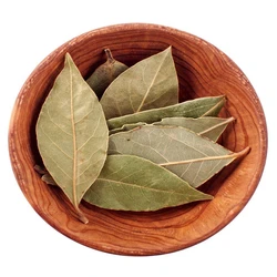 Bay Leaf Tej Patta