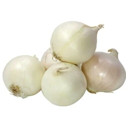 Fresh White Onion