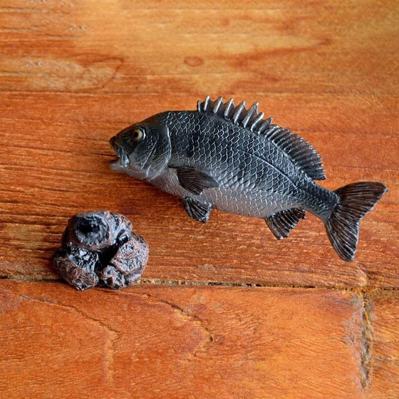 black-sea-bream-2.webp