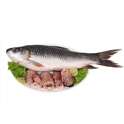 Raw Rohu Fish
