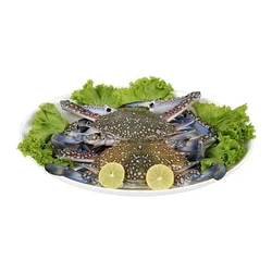 Healthy Sea Crab