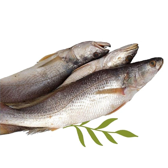 whole-croaker-fish-2.webp