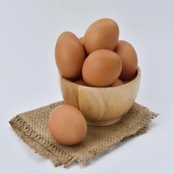 Enriched Chicken Egg