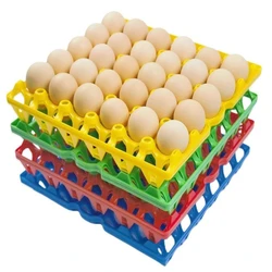 Plastic Layer Egg Tray