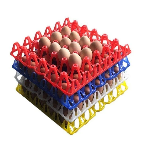polished-plastic-egg-tray-2.webp