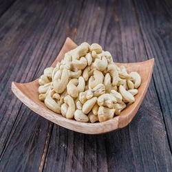 Common Cashew Nut