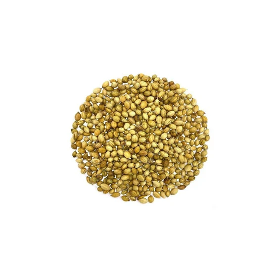 coriander-pure-seed-1.webp