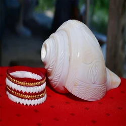 White Conch Bangle