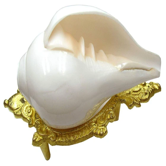 polished-pooja-shankh-2.webp