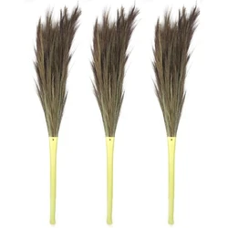 Double Broom Grass