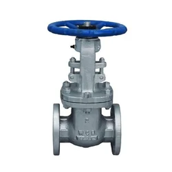 Cast Steel Valve