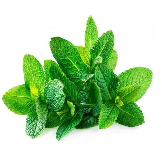 organic-spearmint-herb-1.webp