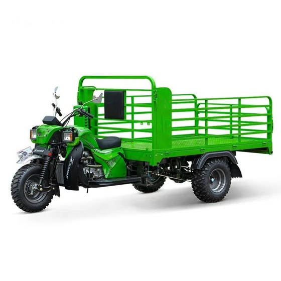 cargo-tricycle-rickshaw-2.webp