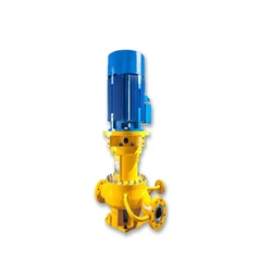Sealless Vertical Pump