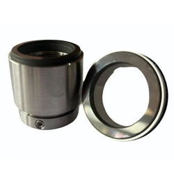 Leaf Spring Mechanical Seal