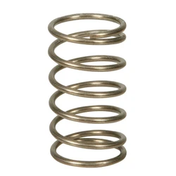 Stainless Steel Spring