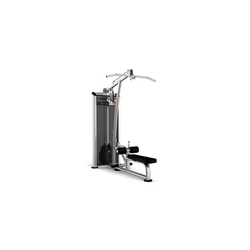 Leg Pulldown Gym Machine