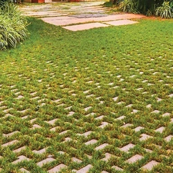Paver Grass Block