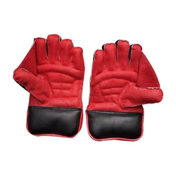 Wicket Keeping Cricket Gloves