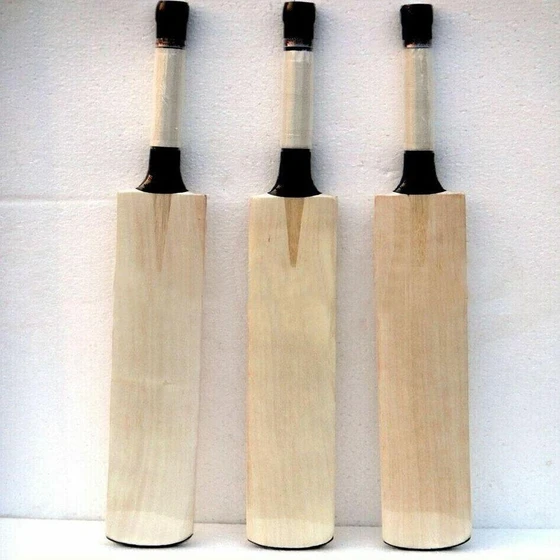 indoor-cricket-bats-2.webp