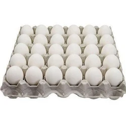 White Egg Tray