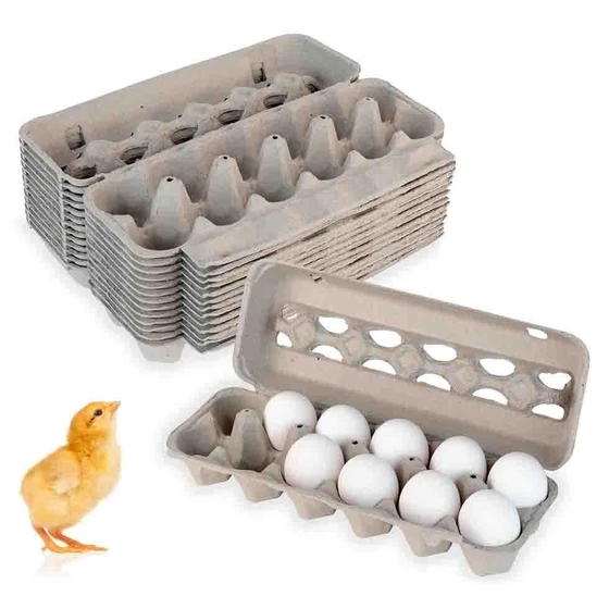 egg-cartons-2.webp