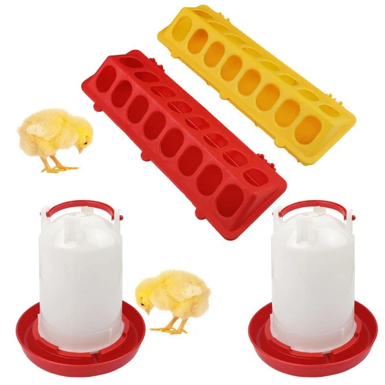 baby-chick-feeder-2.webp