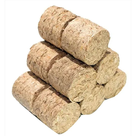 waste-biomass-briquettes-1.webp