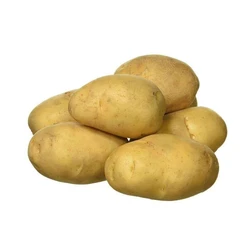 Organic Fresh Potato