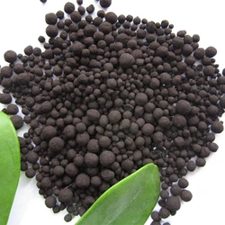 Humic Acid Granular