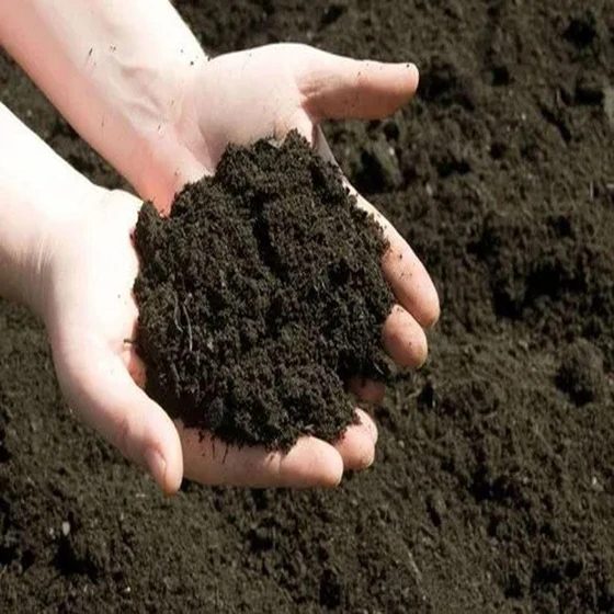 organic-vermi-compost-1.webp