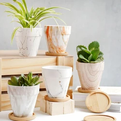 Ceramic Flower Pots