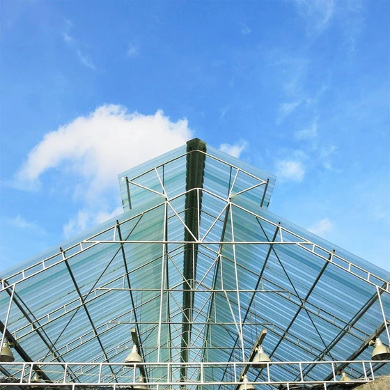 fiberglass-transparent-roofing-2.webp