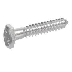 Stainless Steel, Mild Steel Hexagonal Lag Screws