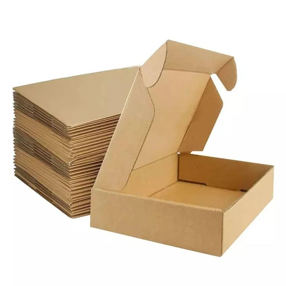 sbs-mono-corrugated-carton-2.webp