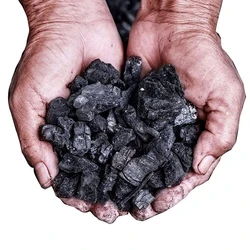 Natural Briquette Charcoal