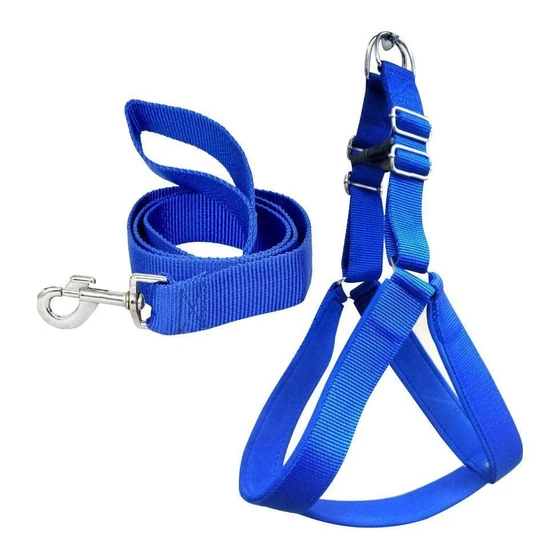dog-harness-1.webp