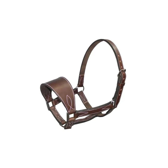 saddle-horse-halters-2.webp