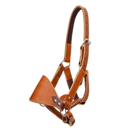 Saddle Horse Halters