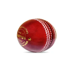 Leather Cricket Ball
