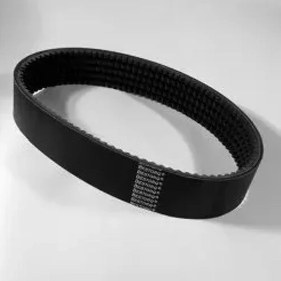 banded-black-belts-2.webp