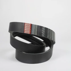 Banded Black Belts