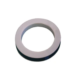 PTFE Envelop Gaskets