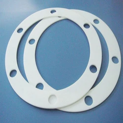 Expanded PTFE Gasket
