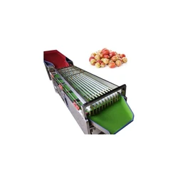 Tomato Grading Machine