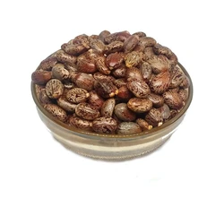 Seeds Organic Castor 