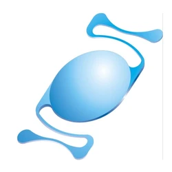 Chamber Intraocular Lens