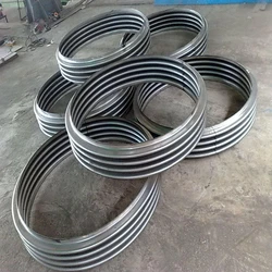 SS Toroidal Expansion Joints