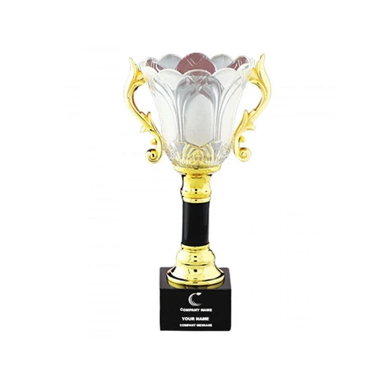 crystal-award-cups-1.webp