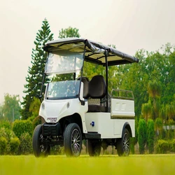 Electric Utility Vehicle